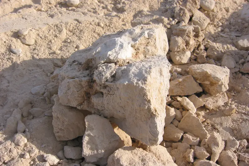 Pale, broken chunks of hard caliche lying on dry desert soil