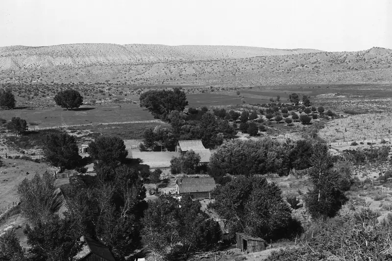 An early ranch among trees at Littlerock in the Antelope Valley