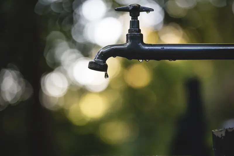 A dark metal outdoor faucet in close-up with a single drop of water falling from its spout against a blurred green and gold background